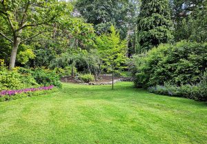 Optimiser l'expérience du jardin à Annebault